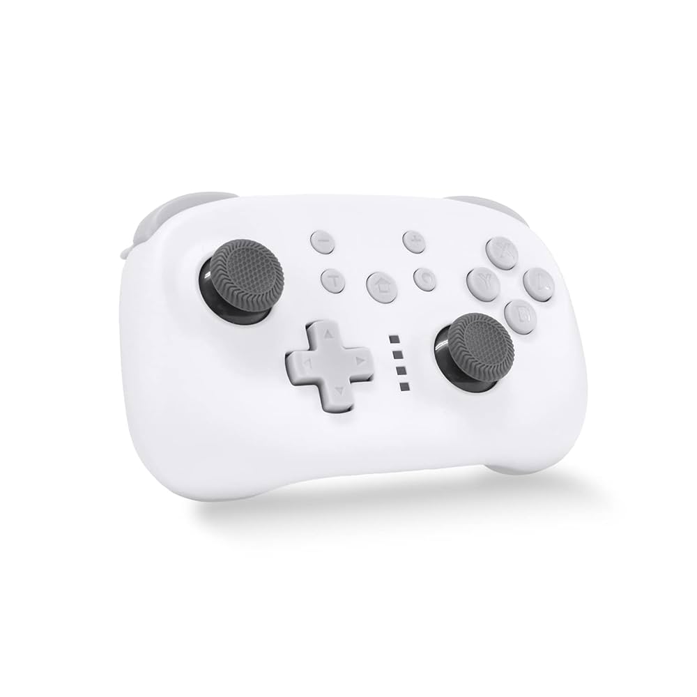 Switch コントローラー付 4995364310376.jpg